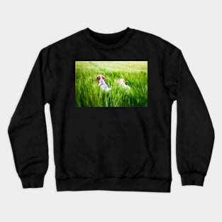 Barley field adventure Spinoni Crewneck Sweatshirt